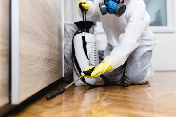 Best Pest Prevention Services  in Paterson, NJ