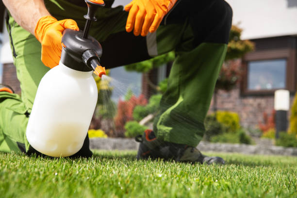 Best Best Pest Control Companies  in Paterson, NJ