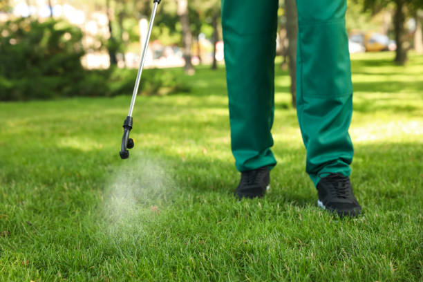 Best Emergency Pest Control  in Paterson, NJ