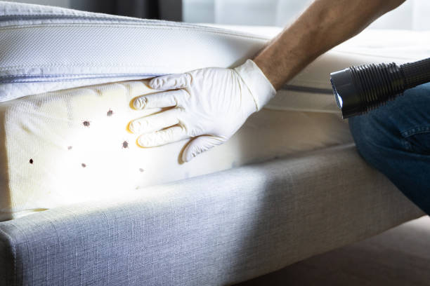 Best Cockroach Control Services  in Paterson, NJ
