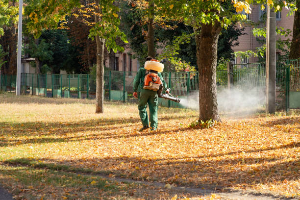 Best Rat Extermination Near Me  in Paterson, NJ