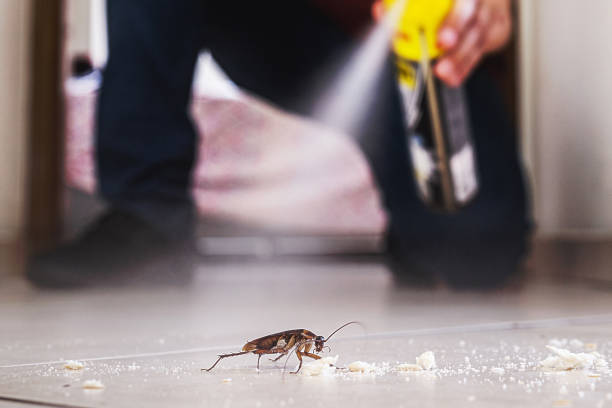 Pest Control Cost in Paterson, NJ