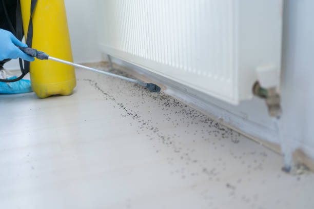 Trusted Paterson, NJ Pest Control Experts