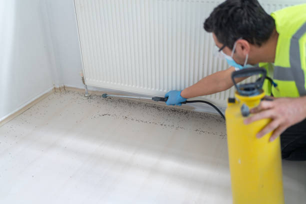 Best Termite Control Services  in Paterson, NJ