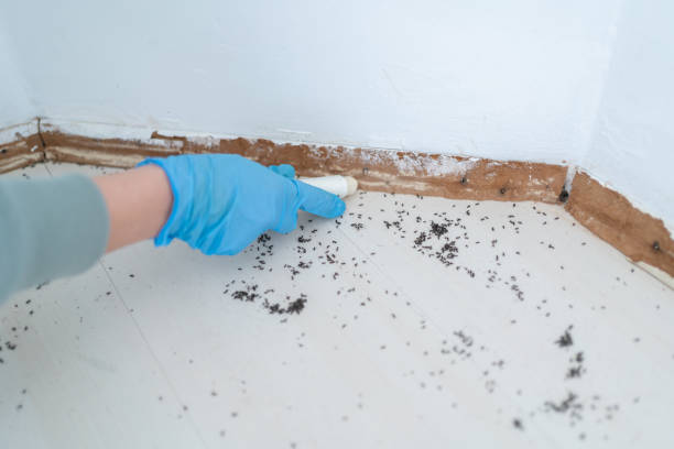 Best Best Pest Control Companies  in Paterson, NJ
