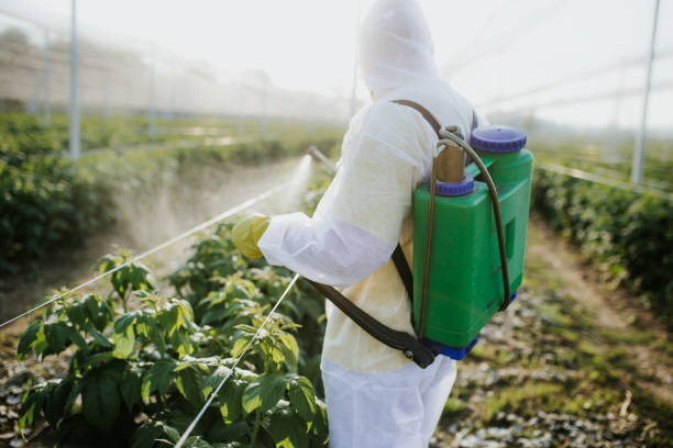 Best Best Pest Control Companies  in Paterson, NJ